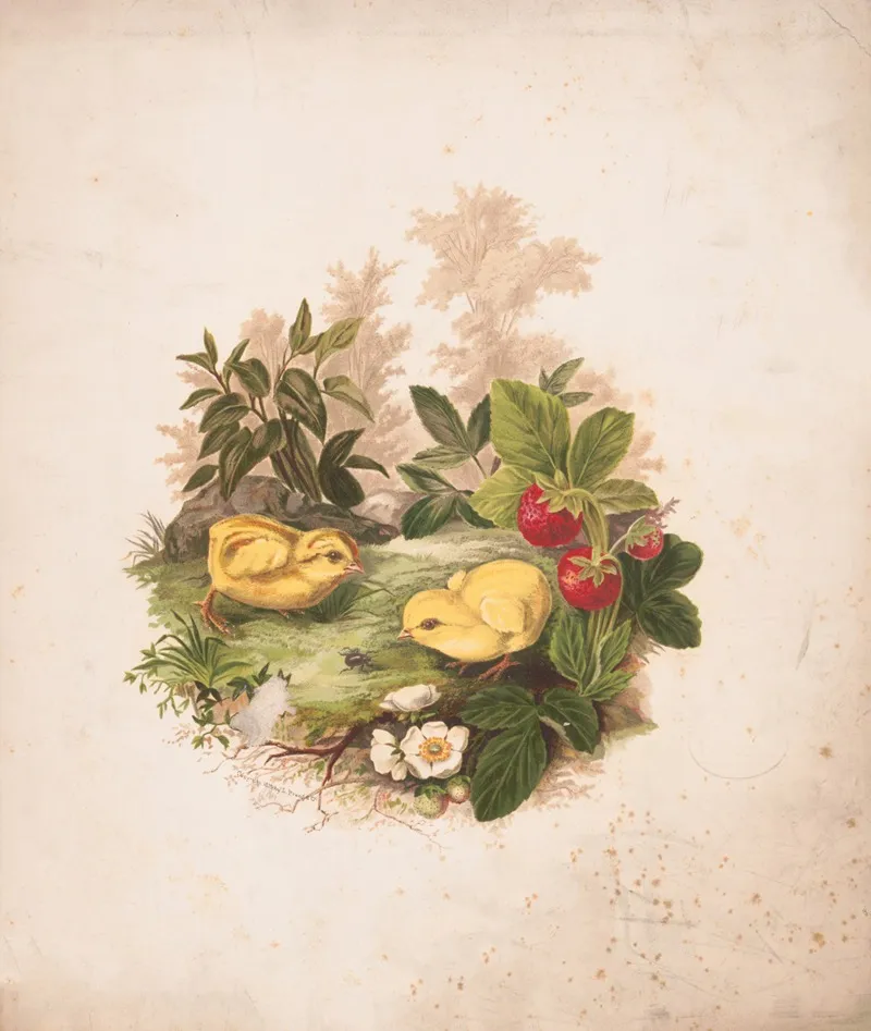 Chickens And Strawberries Wall Art by Olive E Whitney - High-Resolution Digital Print