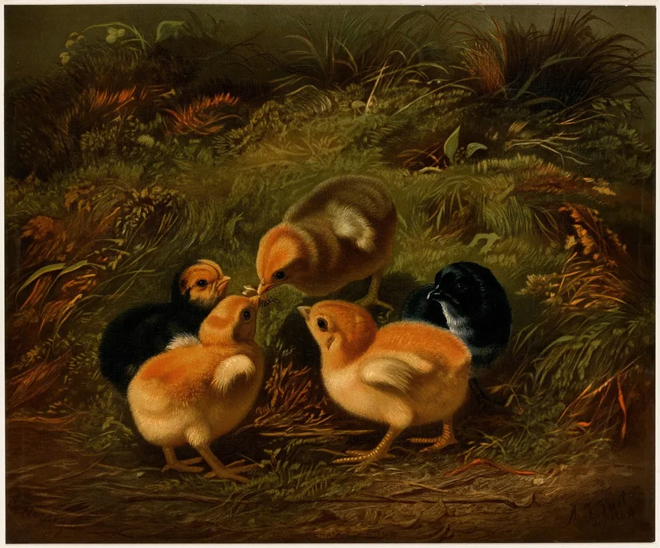 Chickens