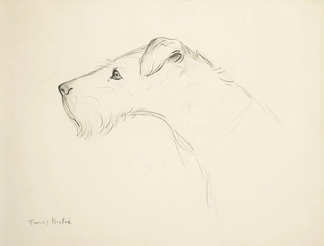 Chien De Profil