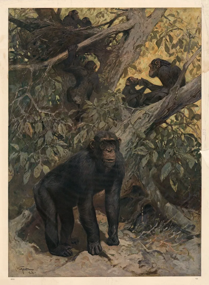 Chimpanse Wall Art by Karl Wagner - High-Resolution Digital Print