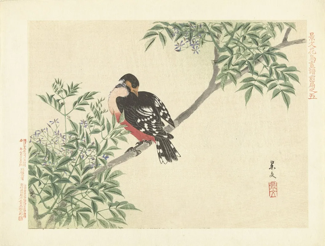 Chinaberry And White Backed Woodpecker Wall Art by Matsumura Keibun - High-Resolution Digital Print