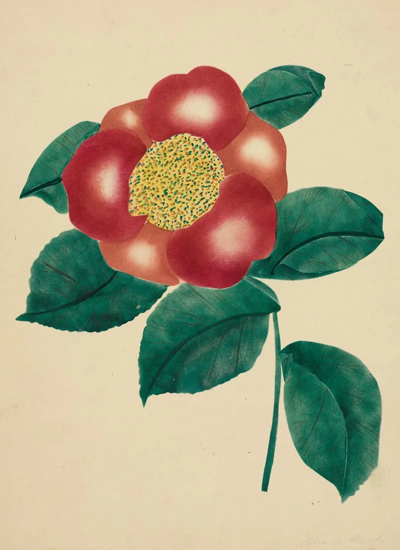 Chinese Flower Wall Art by Mary Altha Nims - High-Resolution Digital Print