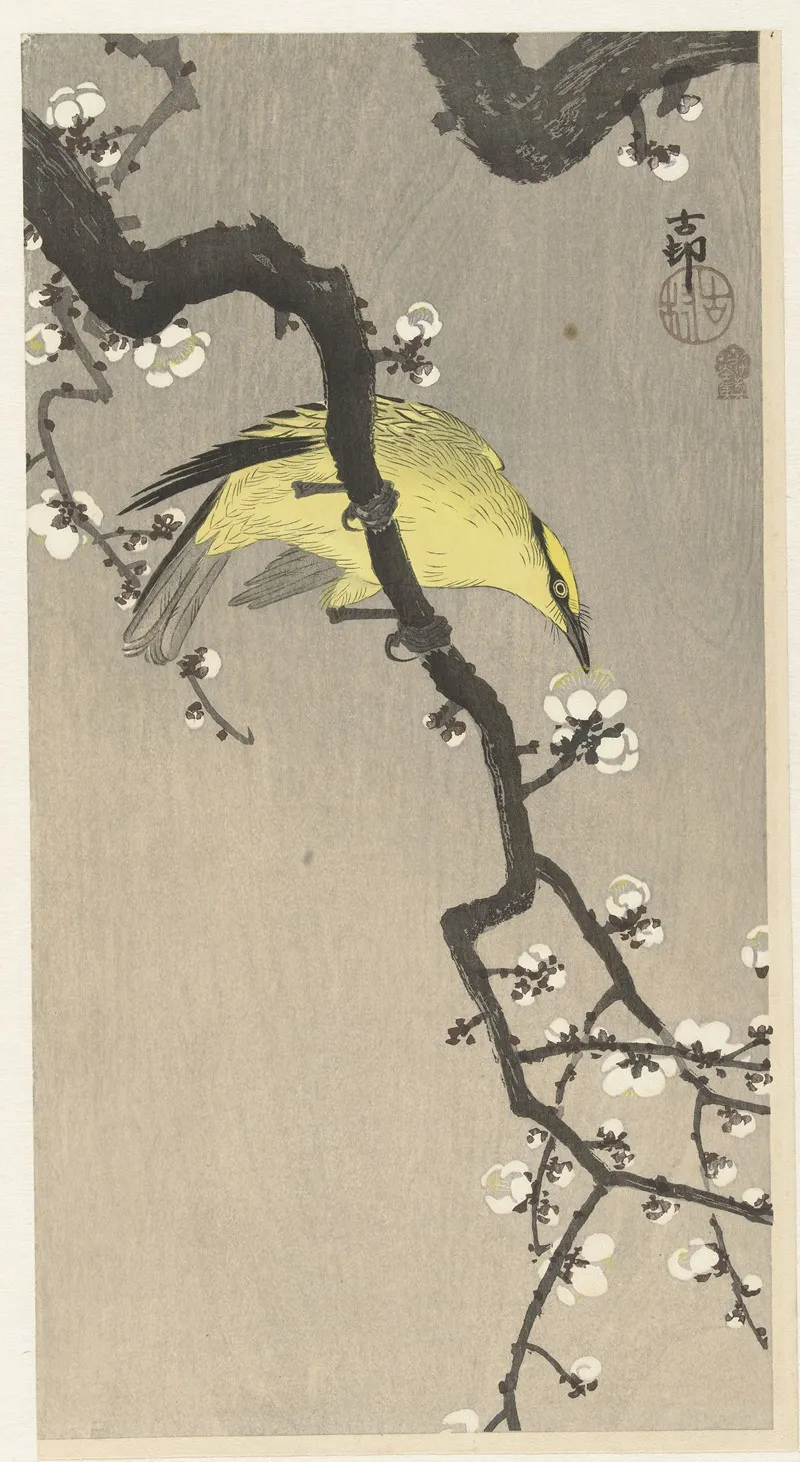 Chinese Golden Oriole On Plum Blossom Branch Wall Art by Ohara Koson - High-Resolution Digital Print
