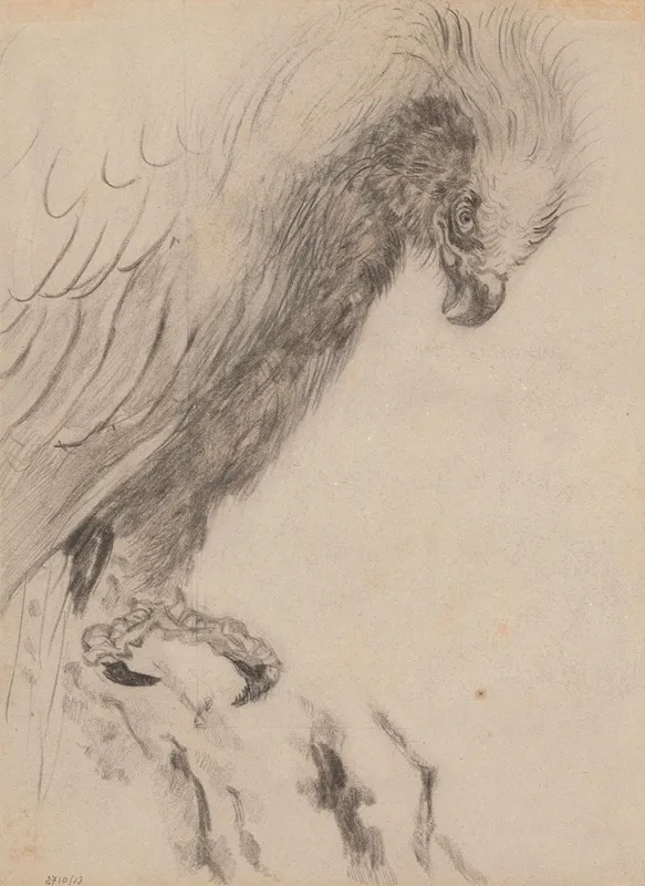 Chinoiserie A Bird Of Prey