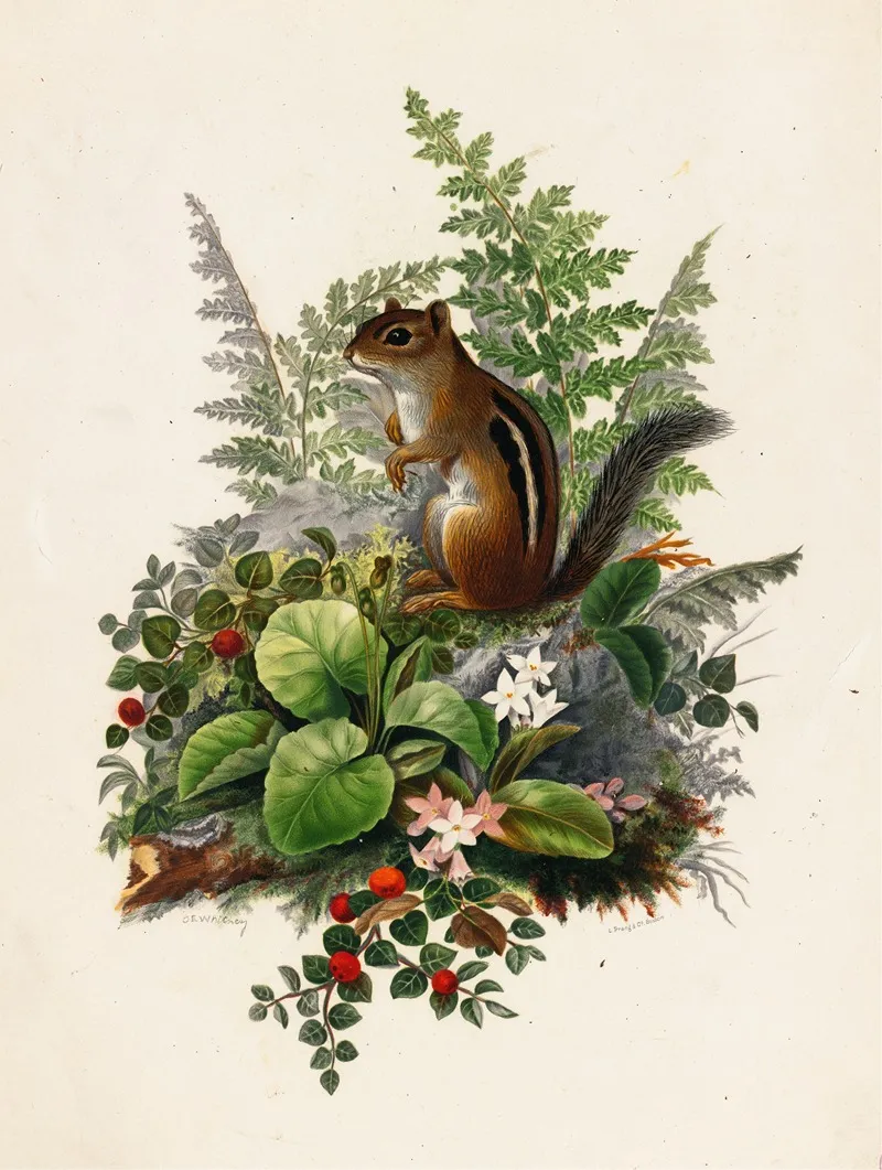 Chipmunk Wall Art by Olive E Whitney - High-Resolution Digital Print