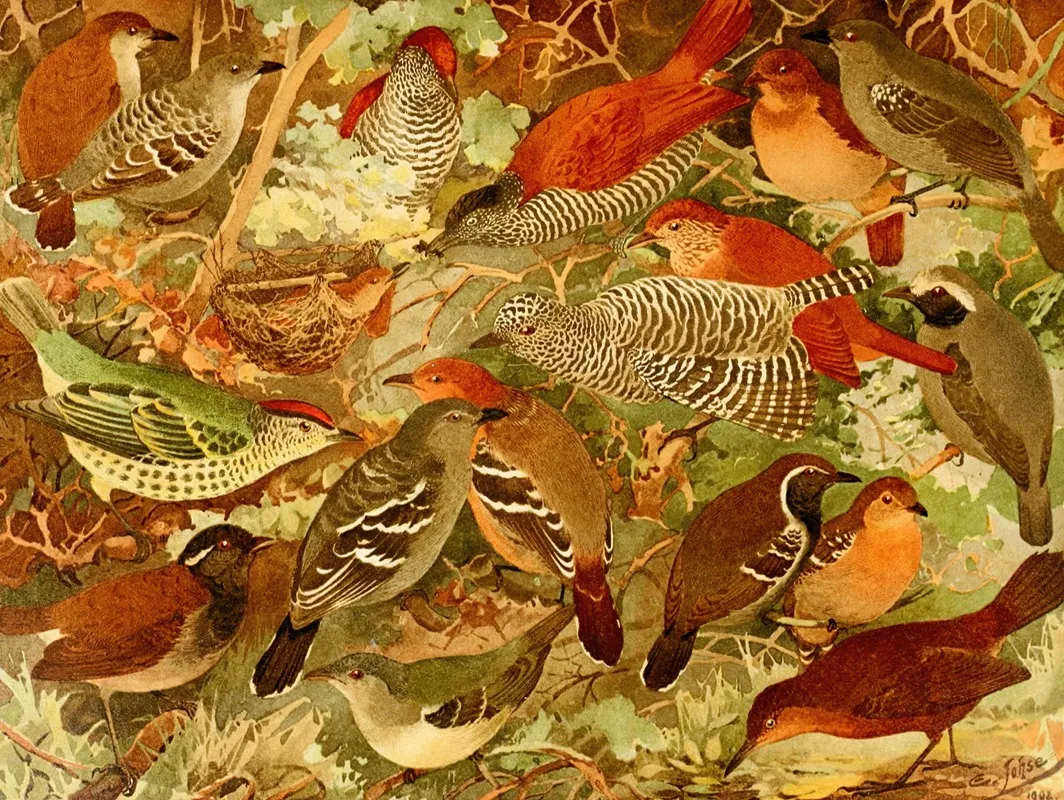 Chocas Mbataras Papa Formigas Vira Folhas Wall Art by Emil August Göldi - High-Resolution Digital Print