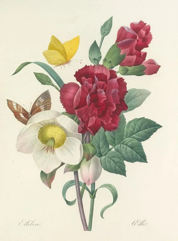 Choix Des Plus Belles Fleurs Pl 037 Wall Art by Pierre Joseph Redouté - High-Resolution Digital Print