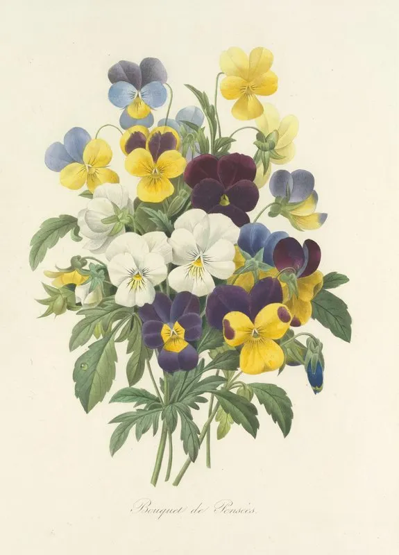 Choix Des Plus Belles Fleurs Pl 067 Wall Art by Pierre Joseph Redouté - High-Resolution Digital Print