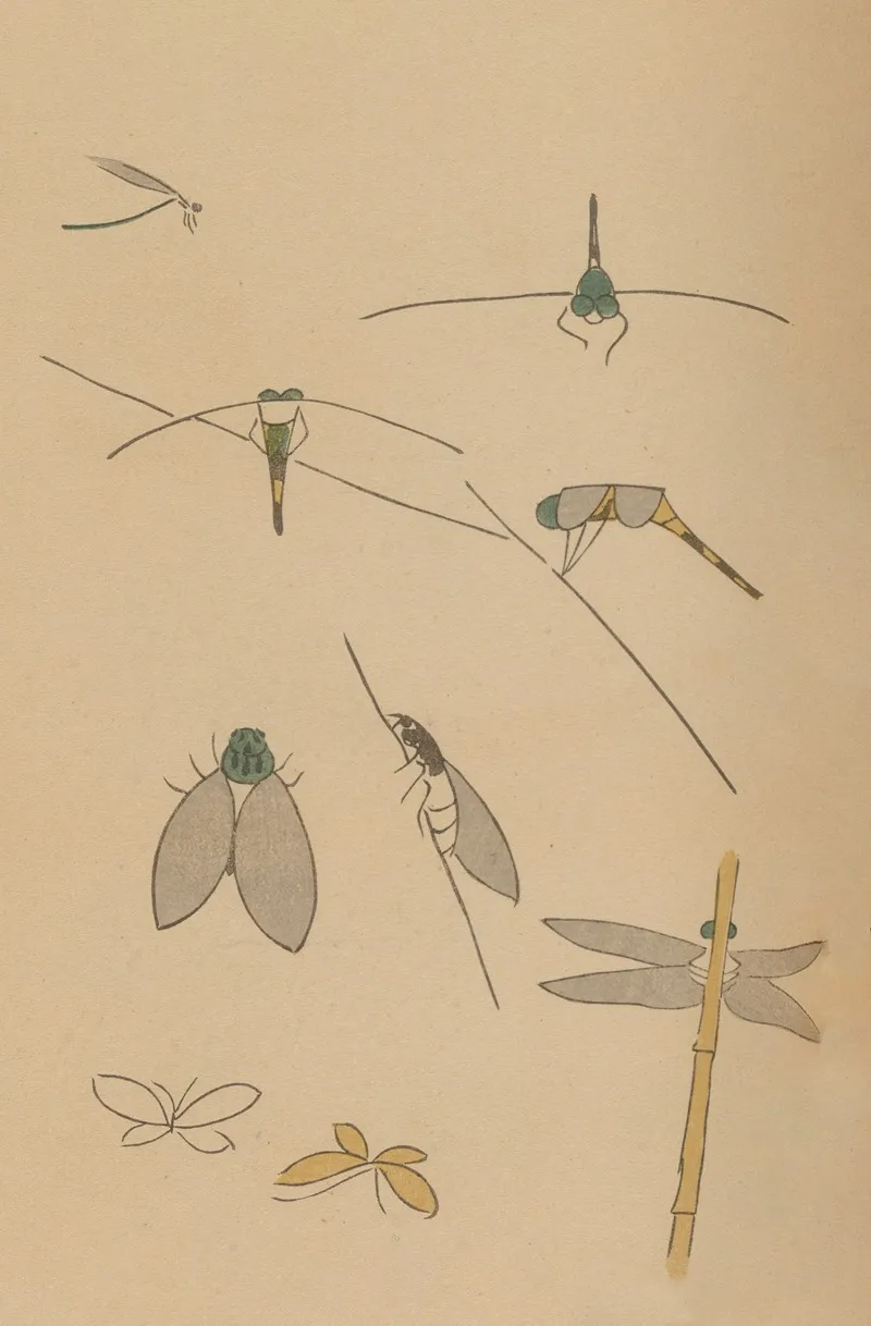 Choju Ryakugashiki Pl 34 Wall Art by Masayoshi Kitao - High-Resolution Digital Print