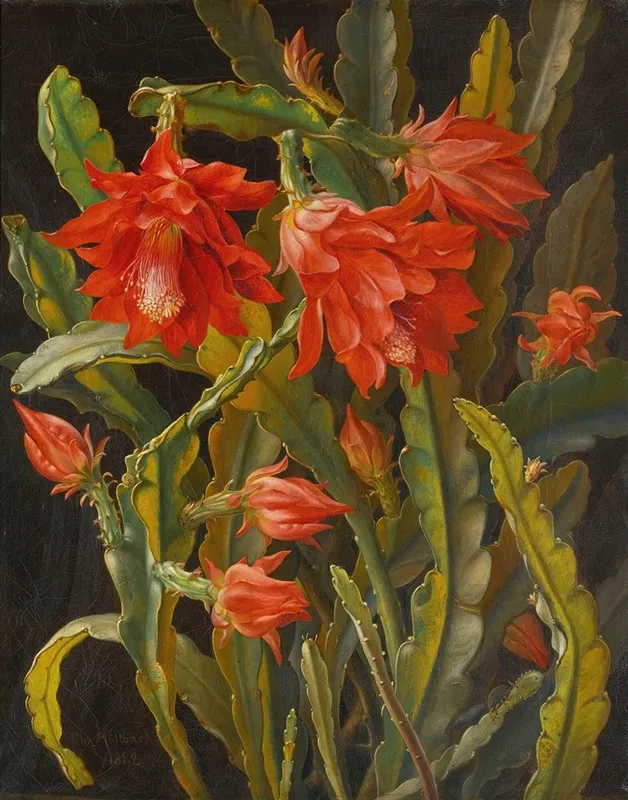 Christmas Cactus Wall Art by Christian Möllback - High-Resolution Digital Print