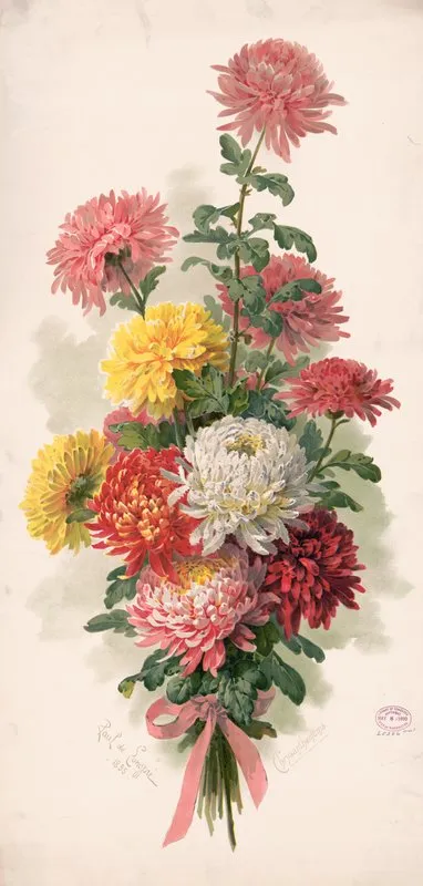 Chrysanthemums 10 Wall Art by Paul de Longpre - High-Resolution Digital Print