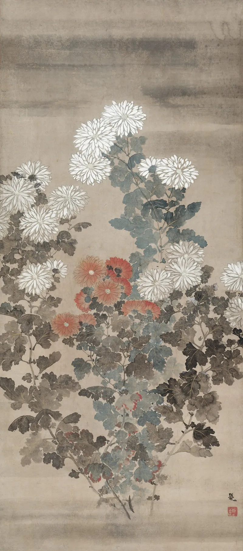 Chrysanthemums 15