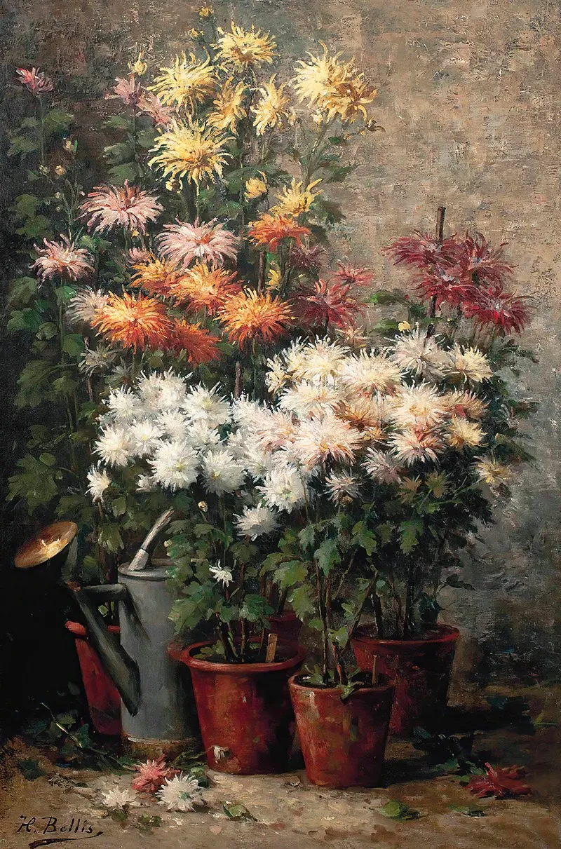 Chrysanthemums 9 Wall Art by Hubert Bellis - High-Resolution Digital Print