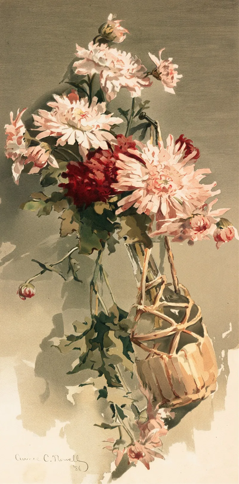 Chrysanthemums No 4 Wall Art by Annie Nowell - High-Resolution Digital Print