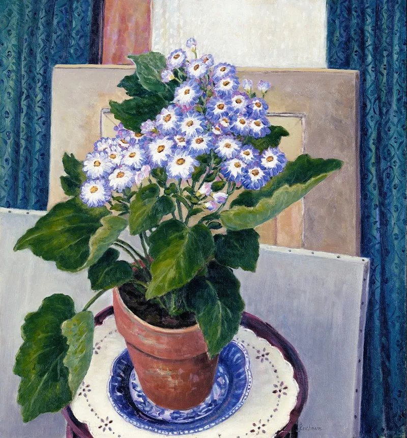 Cineraria Wall Art by Josephine L. Reichmann - High-Resolution Digital Print
