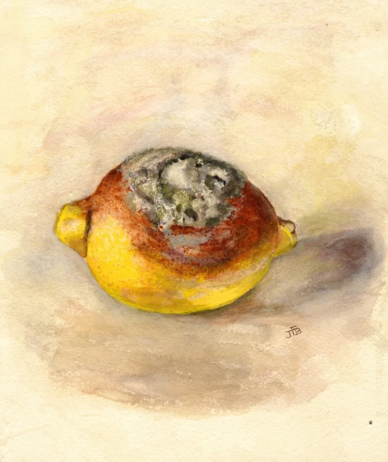 Citrus Limon 11
