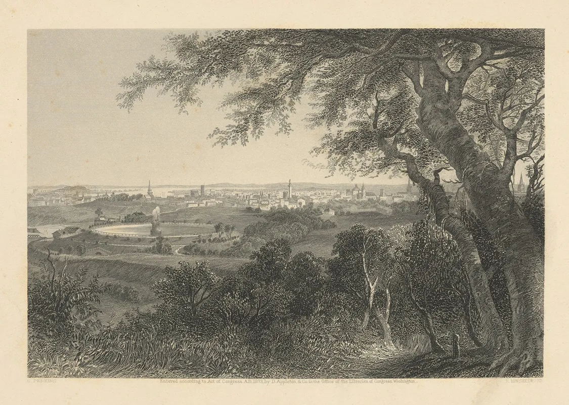 City Of Baltimore From Druid Hill Park
