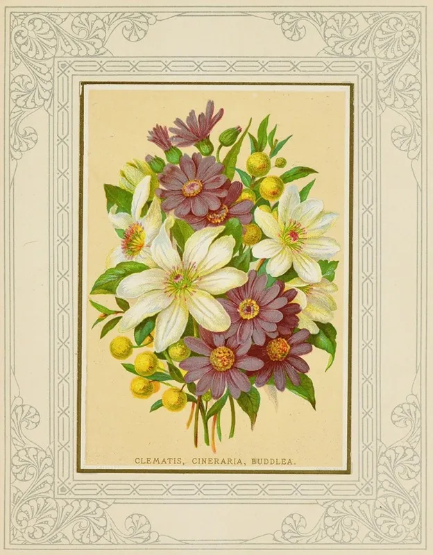 Clematis Cineraria Buddlea Wall Art by Marcus Ward &amp; Co - High-Resolution Digital Print