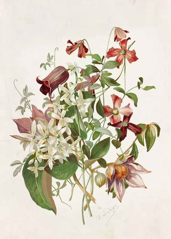 Clematis Wall Art by Alois Lunzer - High-Resolution Digital Print