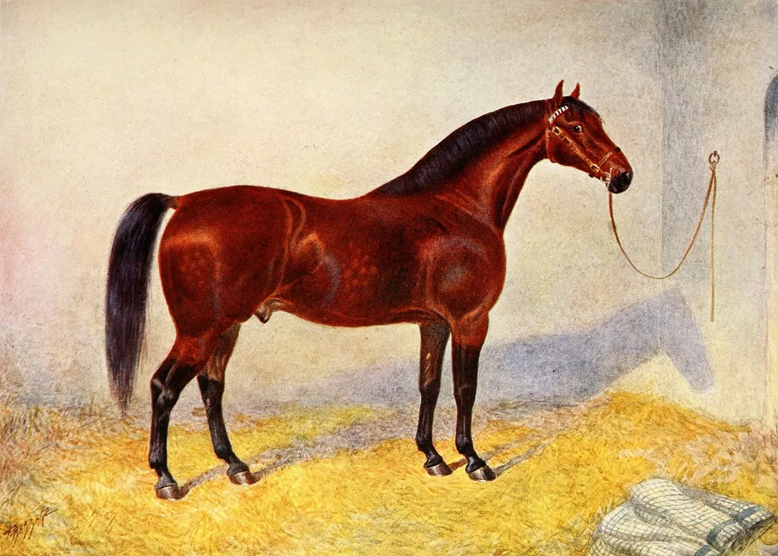 Cleveland Bay Stallion Sultan Wall Art by Frank Babbage - High-Resolution Digital Print