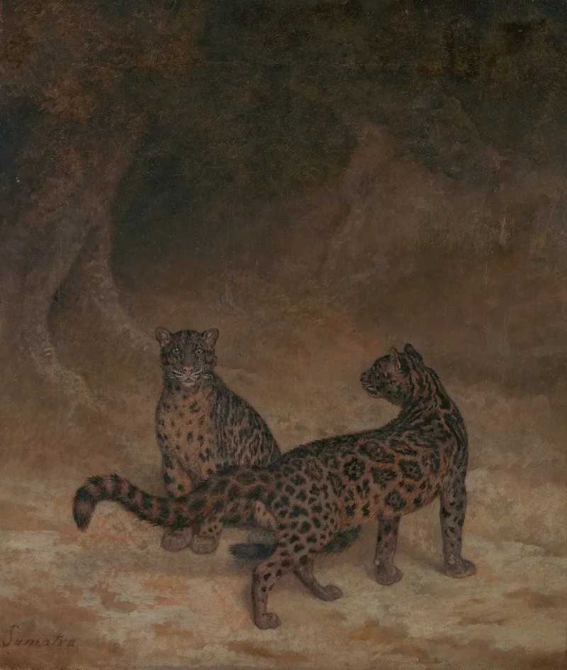 Clouded Leopards Wall Art by Jacques-Laurent Agasse - High-Resolution Digital Print