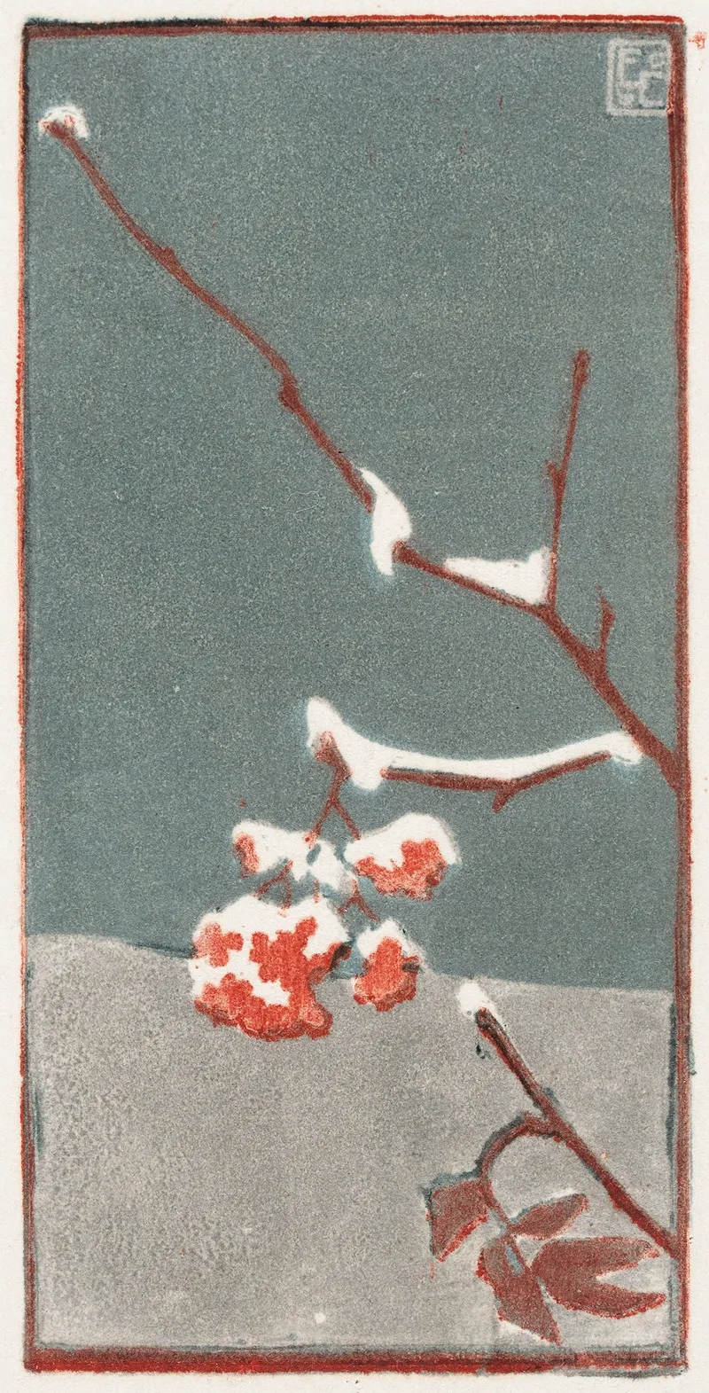 Cluster Of Rowanberries With Snow