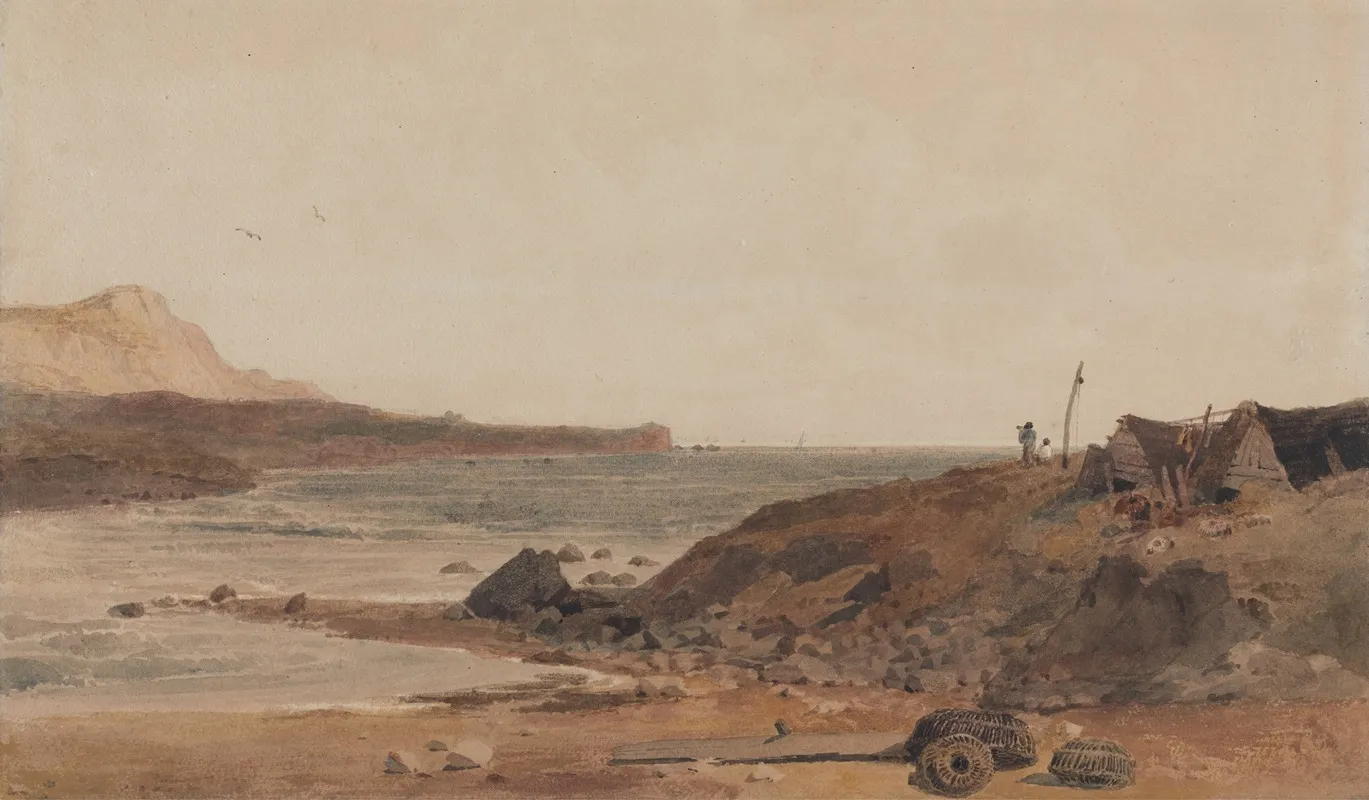 Coast Scene 5