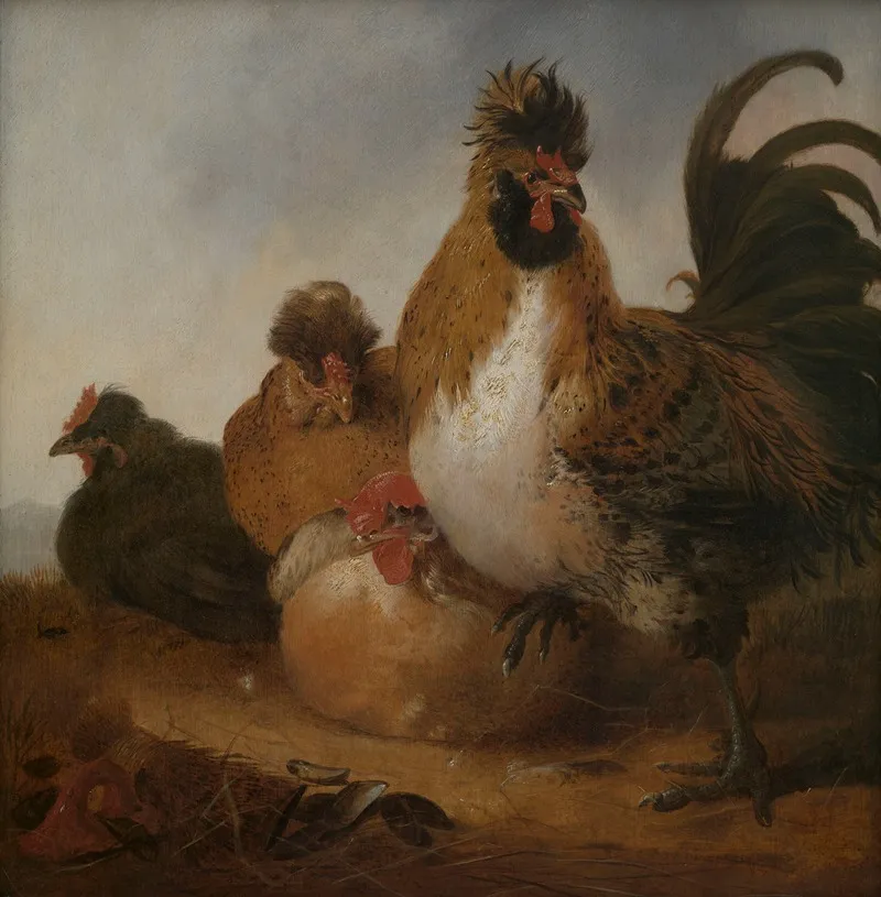 Cock And Hens Wall Art by Aelbert Cuyp - High-Resolution Digital Print