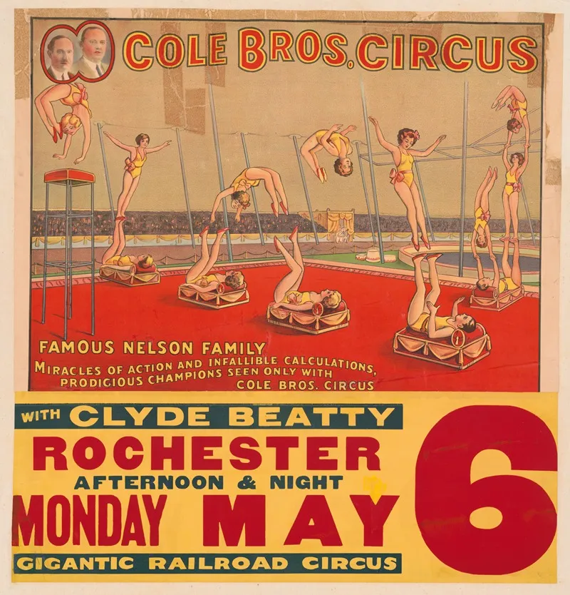 Cole Bros Circus Famous Nelson Family With Clyde Beatty Wall Art by Erie Litho Co. - High-Resolution Digital Print