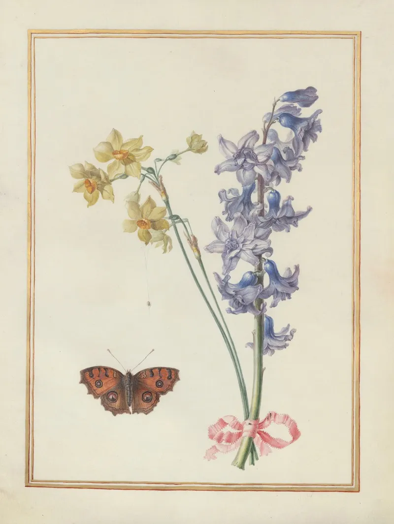 Collection Of Flower Drawings Pl 07 Wall Art by Madeleine-Françoise Basseporte - High-Resolution Digital Print