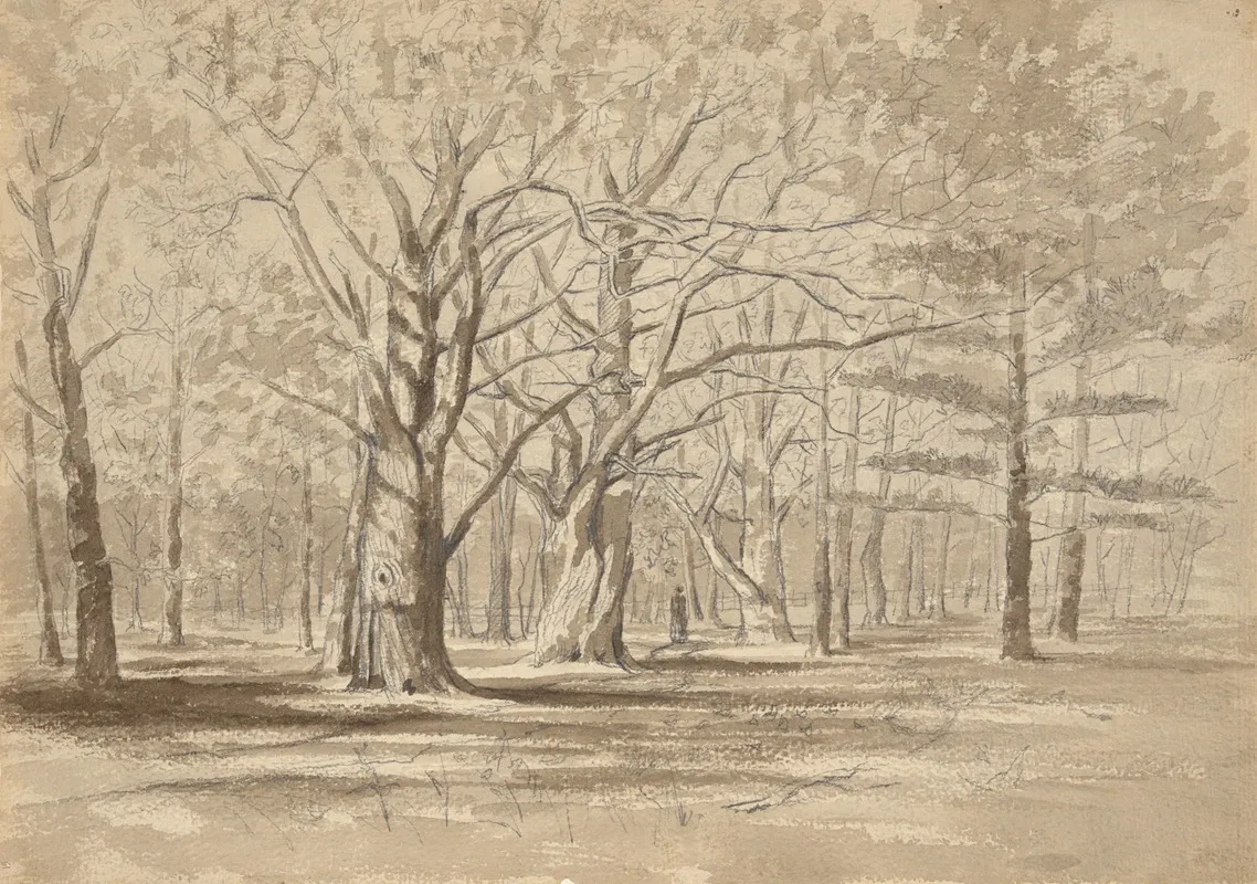 College Woods Wall Art by William Fowler Hopson - High-Resolution Digital Print