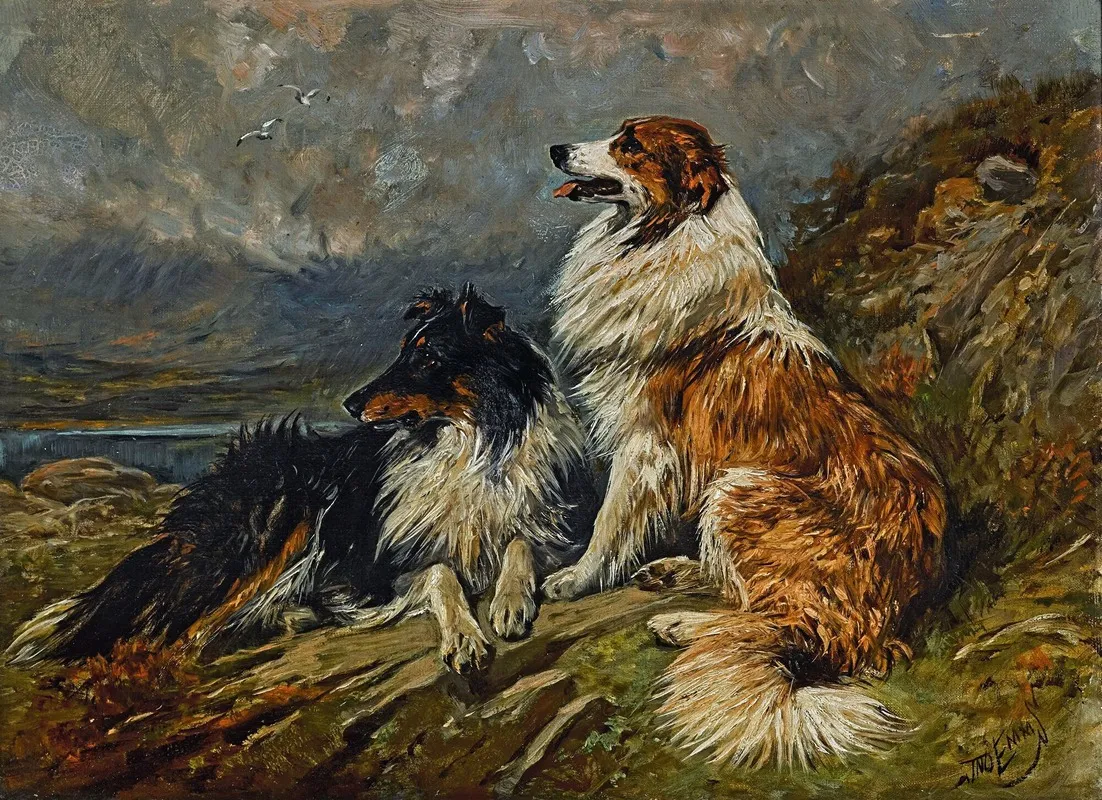 Collies On The Moor Wall Art by John Emms - High-Resolution Digital Print