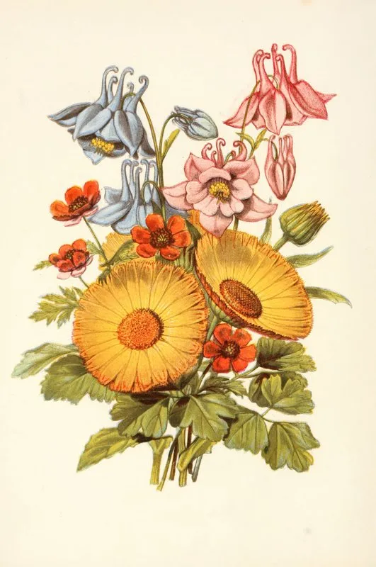 Columbine Marigold Pheasants Eye Wall Art by Robert Tyas - High-Resolution Digital Print