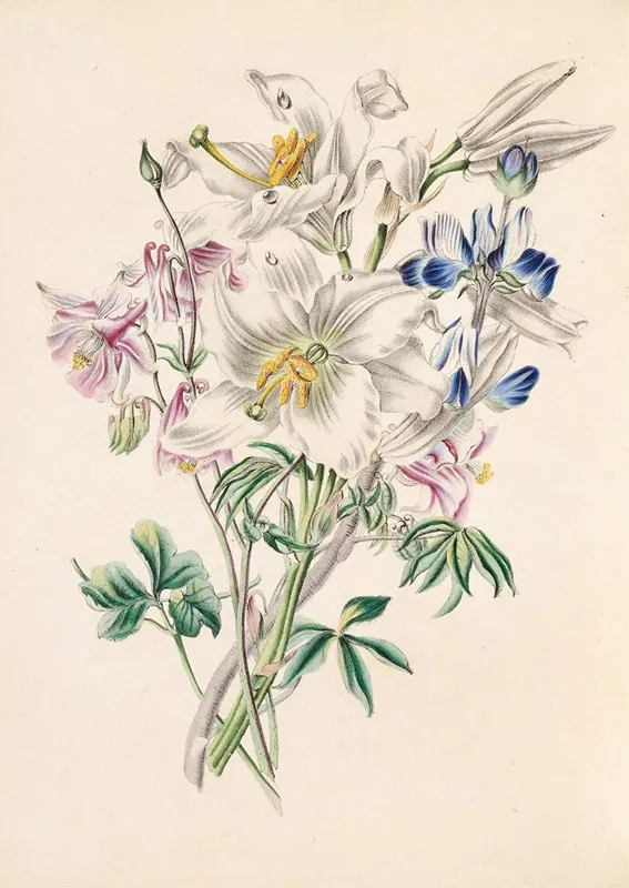 Columbine White Lily And Lupine Wall Art by James Ackerman - High-Resolution Digital Print