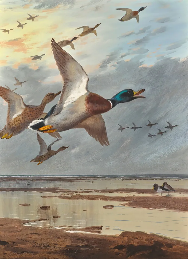 Coming In From The Sea Wall Art by Archibald Thorburn - High-Resolution Digital Print
