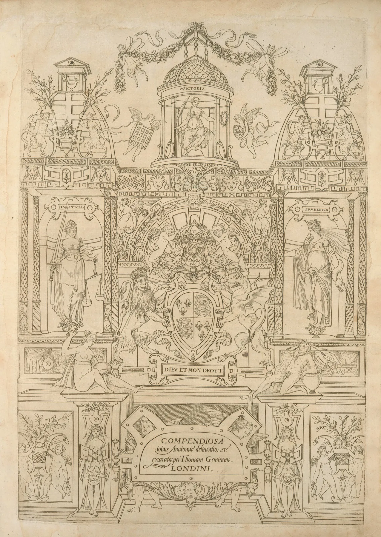 Compendiosa Totius Anatomie Delineatio Aere Exarata Title Page