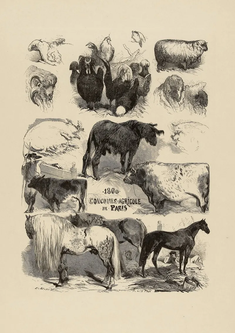 Concours Agricole Wall Art by Edmond Morin - High-Resolution Digital Print