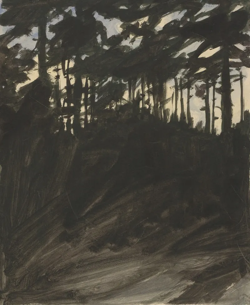 Coniferous Forest At Dusk