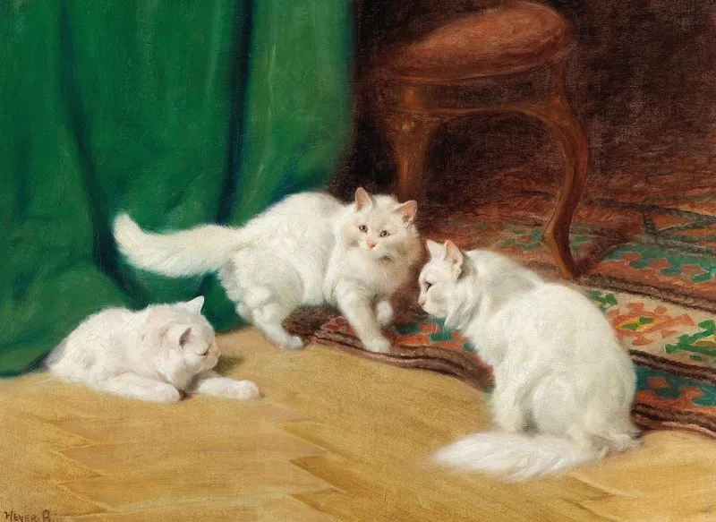Conversation Amongst Cats Wall Art by Arthur Heyer - High-Resolution Digital Print
