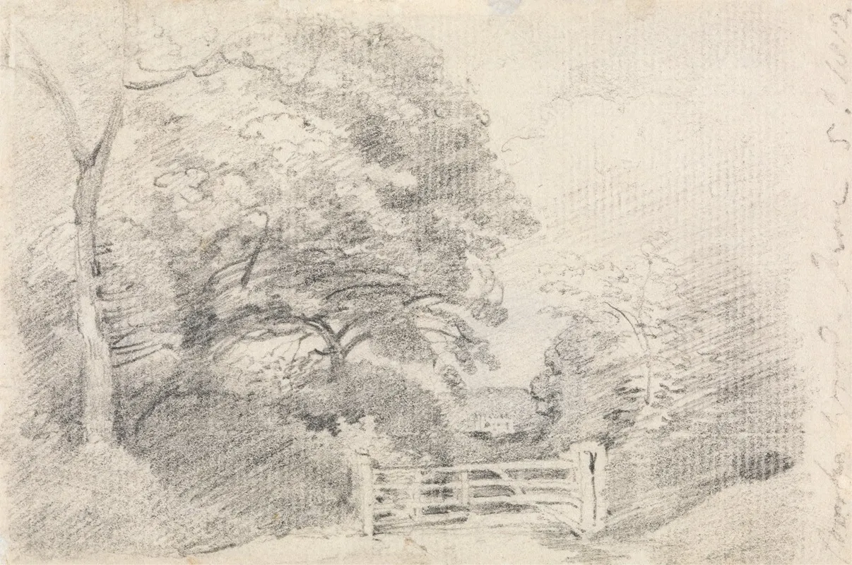 Coombe Wood