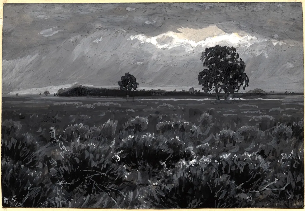 Copses Of Trees On The Baraba Steppe