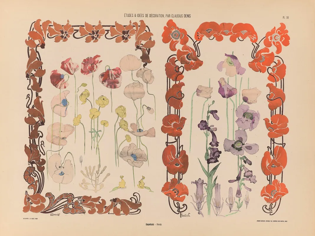 Coquelicots Pavots