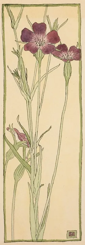 Corn Cockle