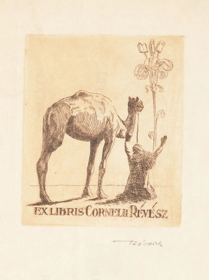 Cornelius Revesz
