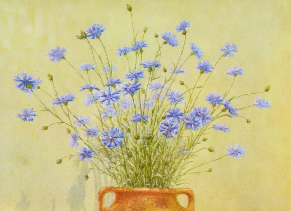 Cornflower Wall Art by Lafayette F. Cargill - High-Resolution Digital Print