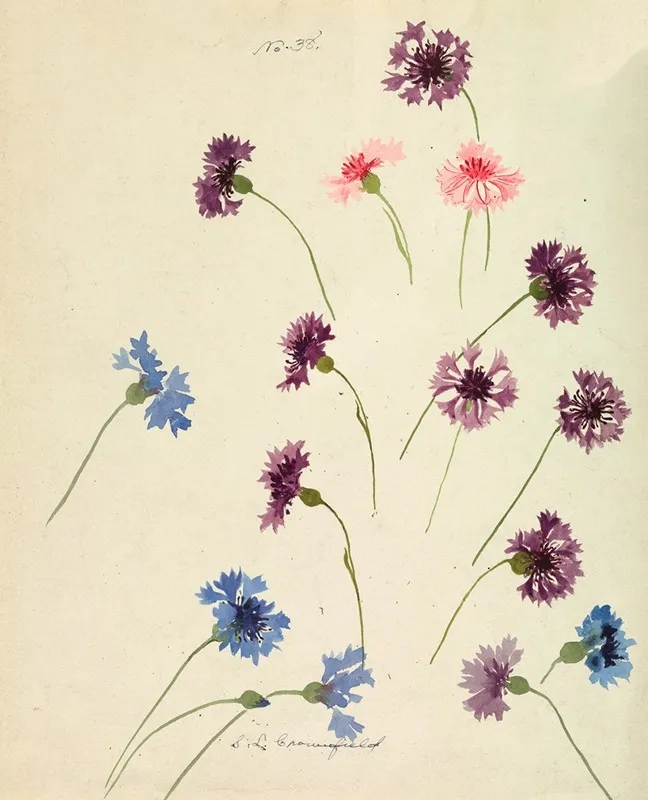 Cornflowers Wall Art by Sophia Louise Crownfield - High-Resolution Digital Print