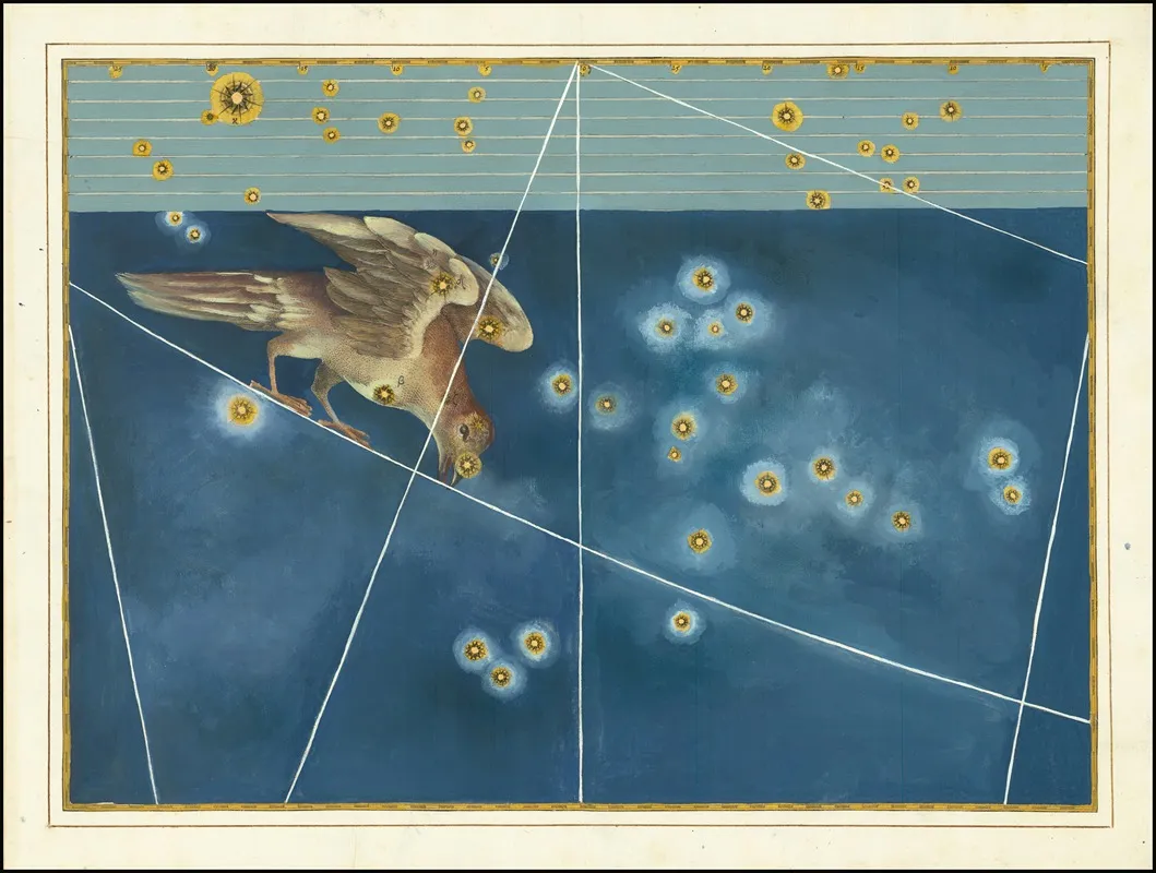 Corvus Wall Art by Johann Bayer - High-Resolution Digital Print