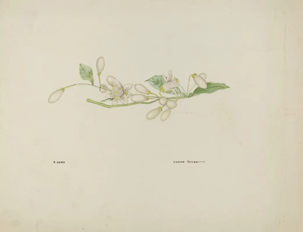 Costume Accessory Orange Blossoms