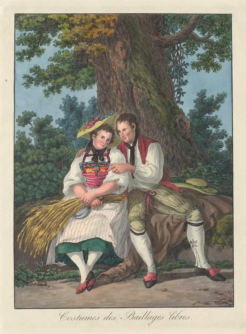 Costumes Des Baillages Libres Wall Art by Joseph Reinhart - High-Resolution Digital Print
