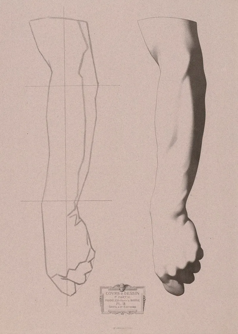 Cours De Dessin Pl 19